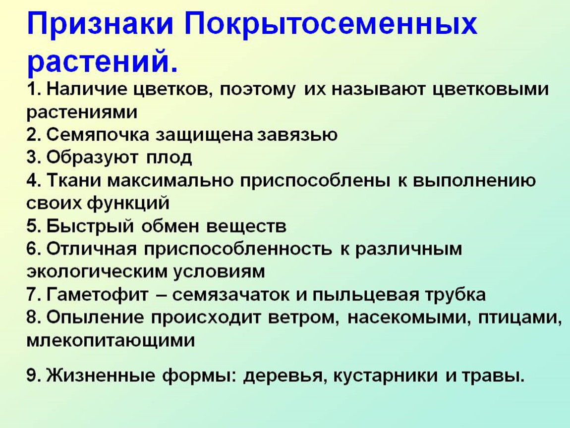 Особенности покрытосеменных растений наличие. Признаки покрытосеменных. Эволюционные приобретения покрытосеменных. Чем защищена семяпочка покрытосеменных растений. Таблица эволюционные приобретения покрытосеменных растений.