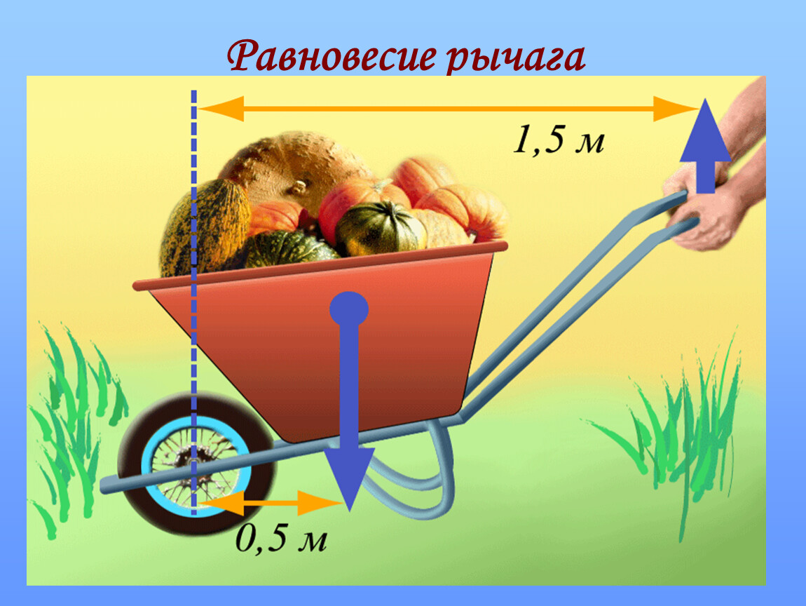 Рычаги в быту презентация 7 класс