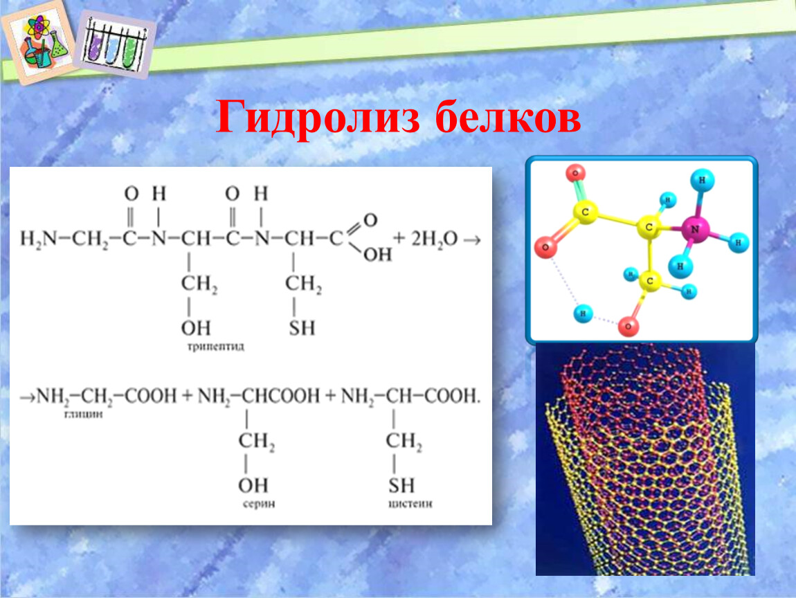 Chcooh. Гидролиз белков. Гидролиз белков уравнение. Гидролиз белка биологическая роль. Белки уравнения.