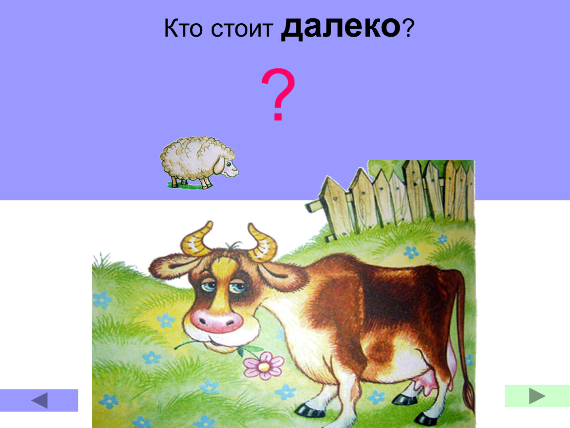 Стой дальше. Противоположности для детей тяжелый легкий. Малышам противоположности с загадками.