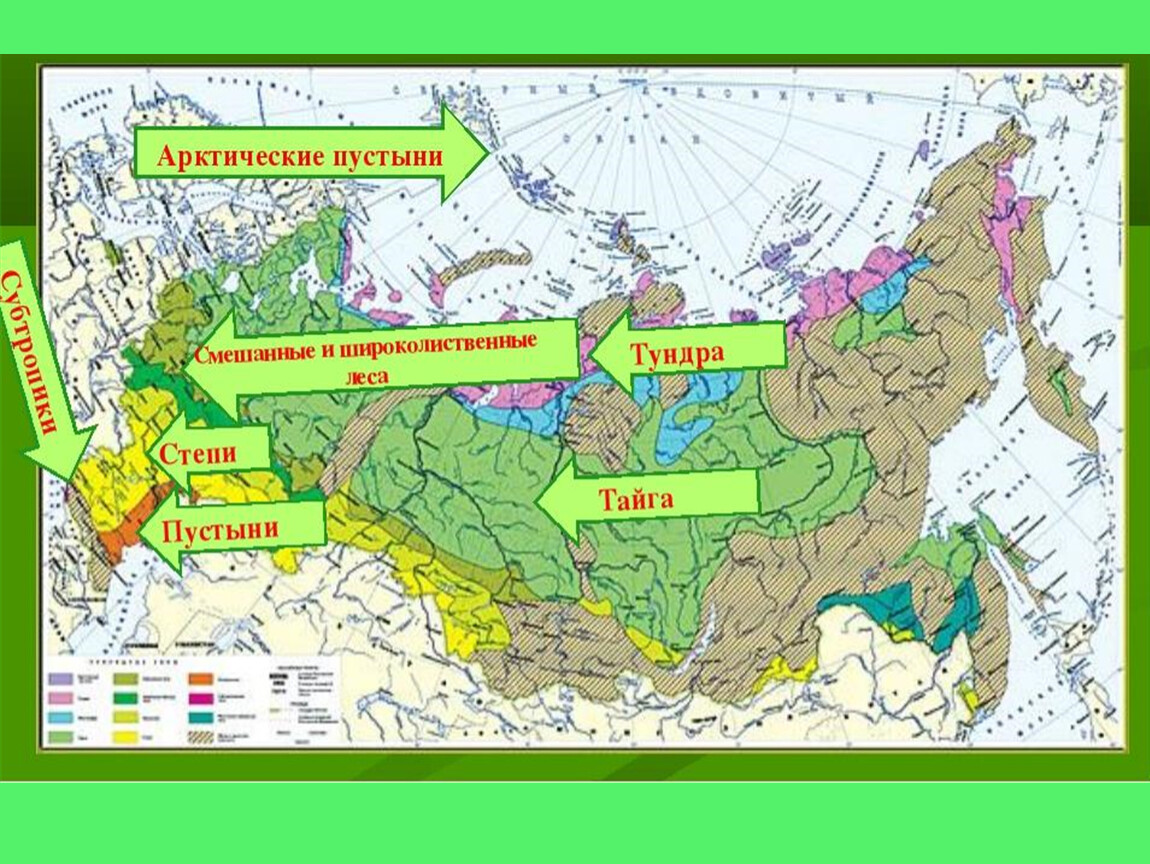 Укажите природную зону в которой можно встретить. Карта природные зоны России 4 класс окружающий мир карта. Карта природных зон России 4 класс с названиями. Карта природных зон 4 класс окружающий мир с названиями. Карта природных зон 4 класс окружающий мир.
