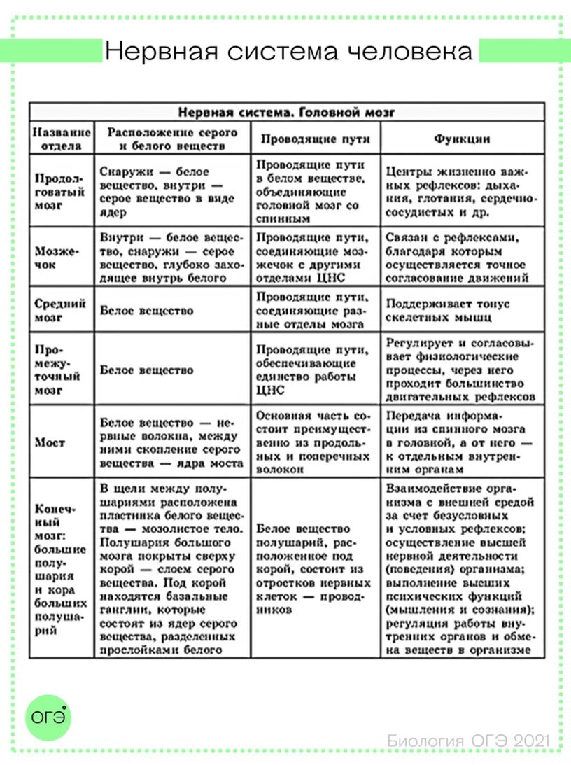 Схемы и таблицы по биологии огэ