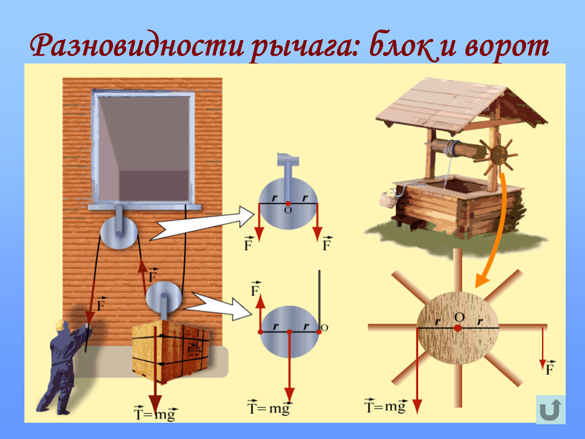 Виды рычагов картинки