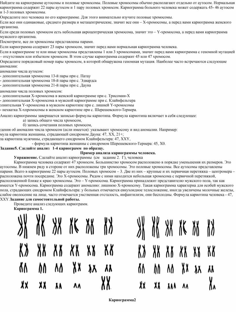 Ген находится в аутосоме что это значит