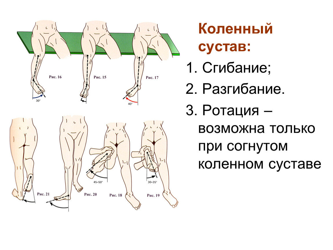 Двигается колено