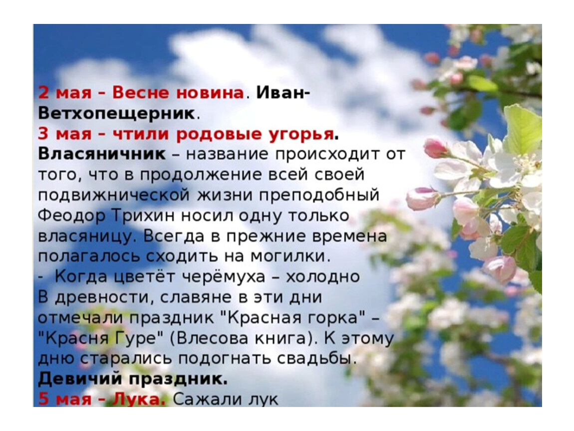 Какой праздник отмечают 3 мая. 2 Мая приметы. Народные приметы мая для дошкольников. 2 Мая народные приметы.