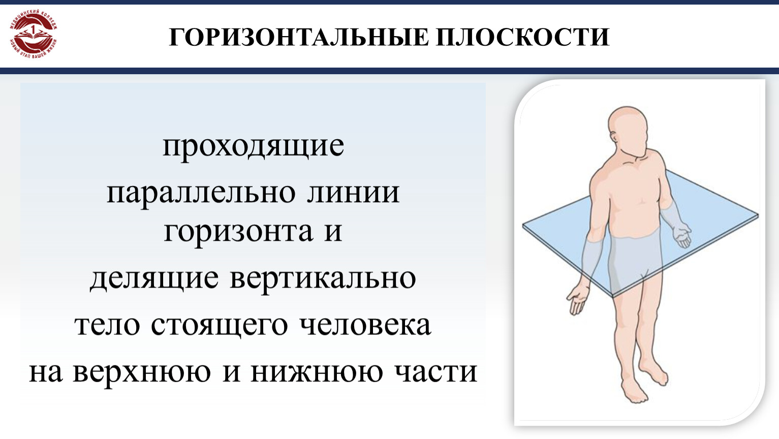 Не пройдите параллельно. Горизонтальная плоскость человека. Горизонтальная плоскость проходит. Движения в горизонтальной плоскости. Горизонтальная плоскость проходит параллельно линии.