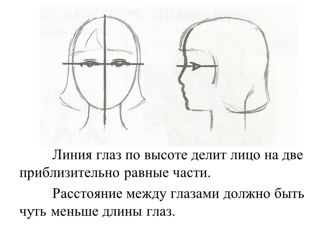 Линия глаз. Пропорции лица в глазах. Линия глаз делит высоту лица. Расстояние между глазами для рисования. Расстояние между глазами схема.