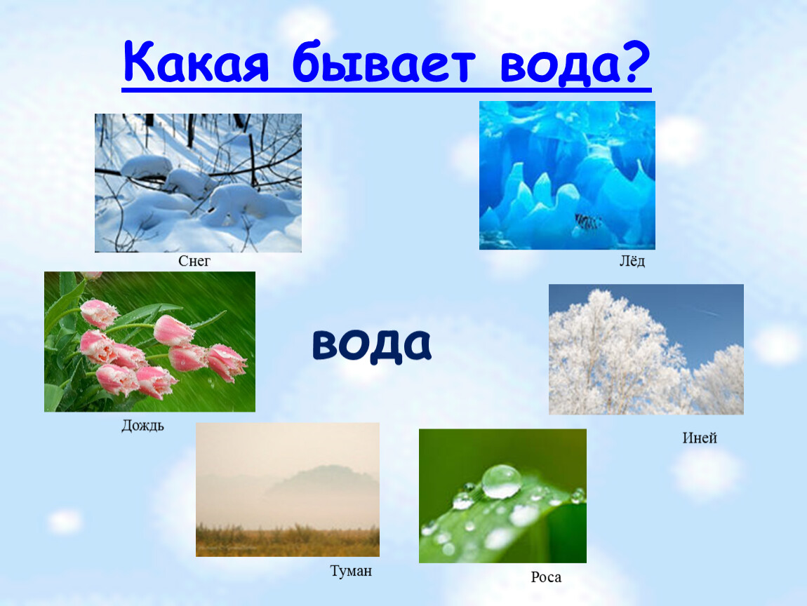 Иней роса туман. Какая бывает вода. Какая бывает вода картинки для детей. Темы про воду какие бывают. Вода бывает.