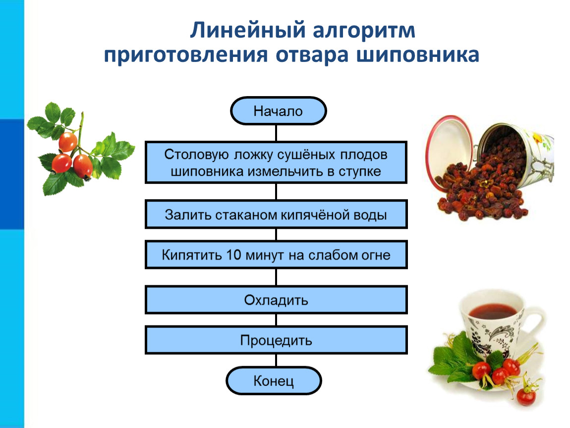 Напиток из шиповника технологическая карта для школы