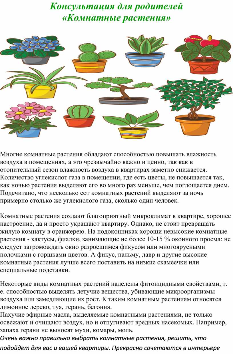 Консультация для родителей «Май цветами встречай» — МБОУ НШ-ДС № 76 г. Тюмени