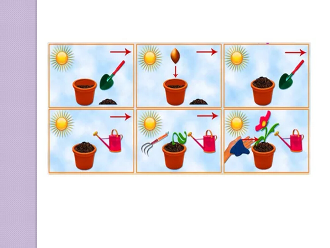 Уход за растениями в старшей группе. Алгоритм ухода за цветами. Ухаживание за растениями в детском саду. Комнатные растения для дошкольников. Задания по комнатным растениям для дошкольников.