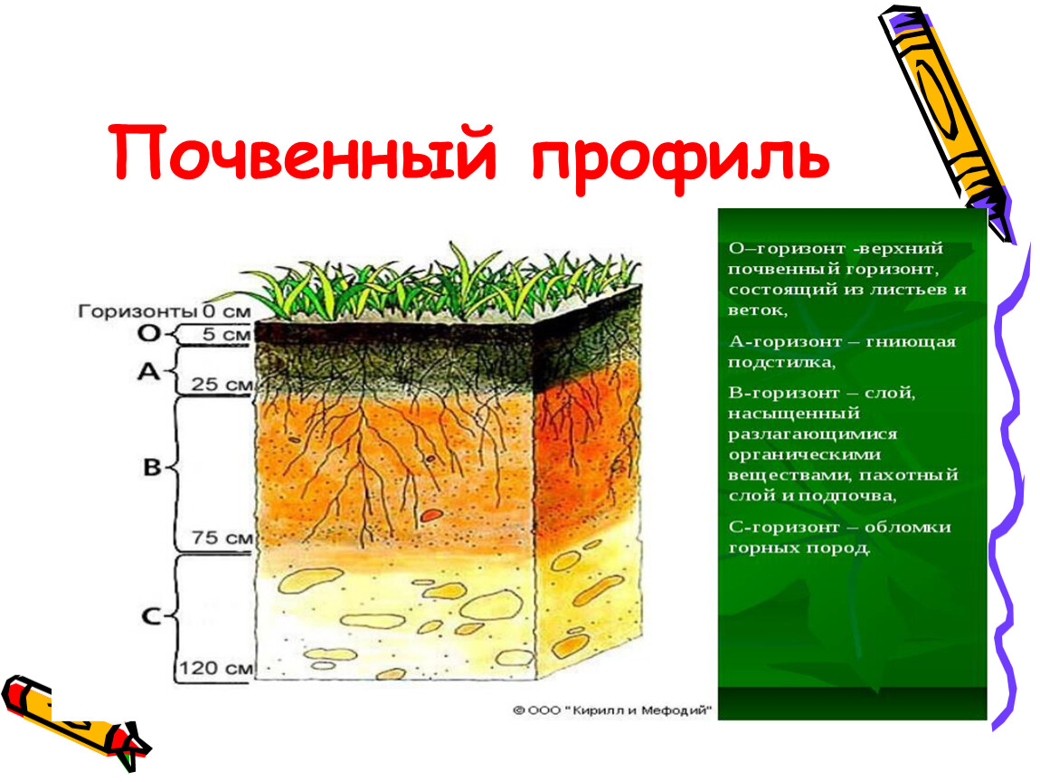 Тест по теме почвы 8 класс география