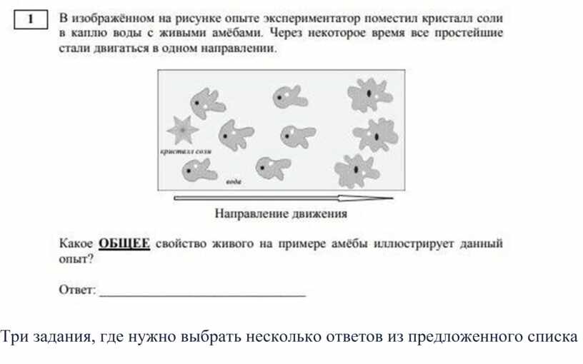 Решить задание по фото биология