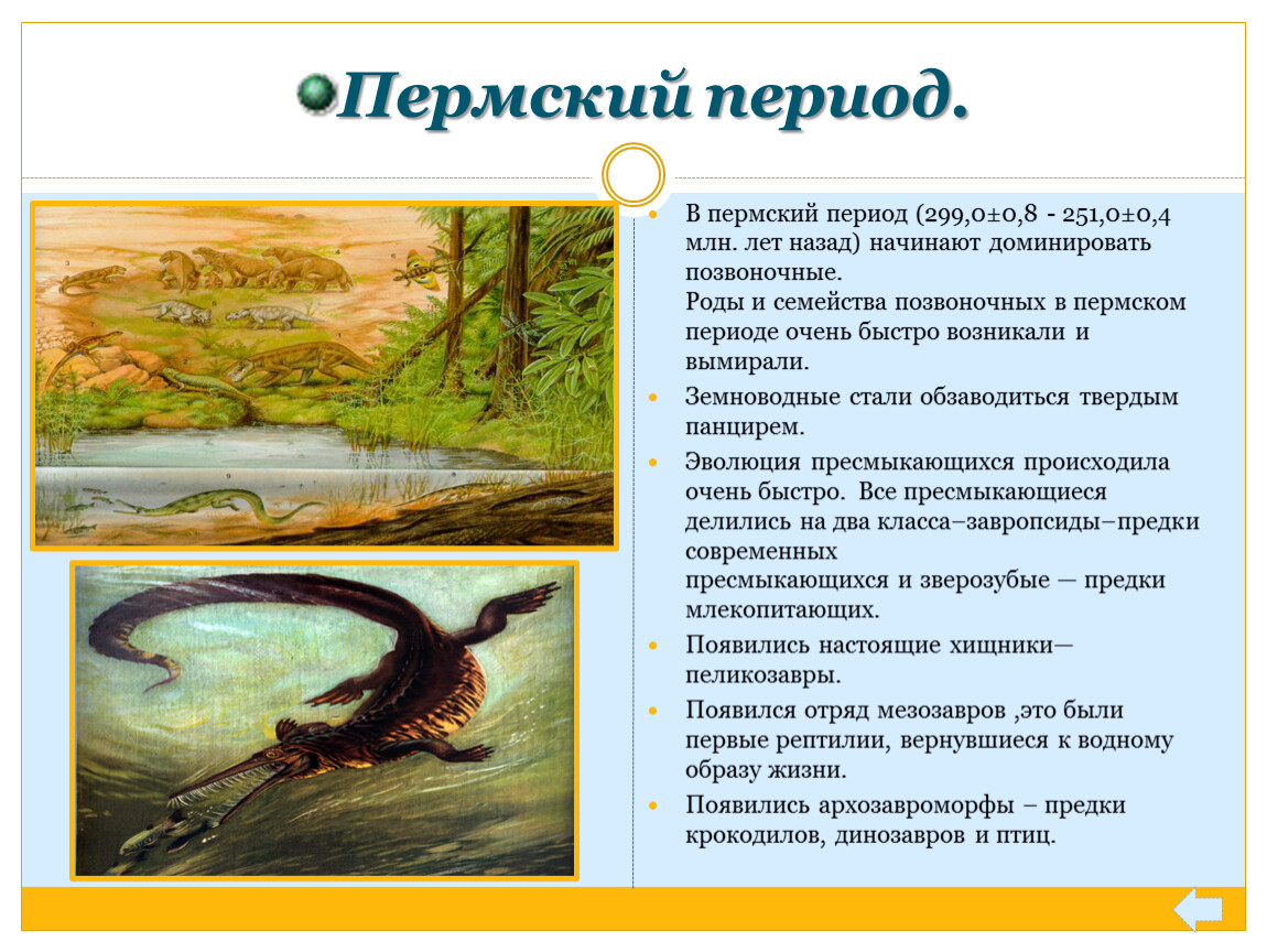 Важнейшем периоде. Основное событие Пермского периода. Пермский период основные события. Пермский период животные и растения таблица. Пермский период животный мир таблица.