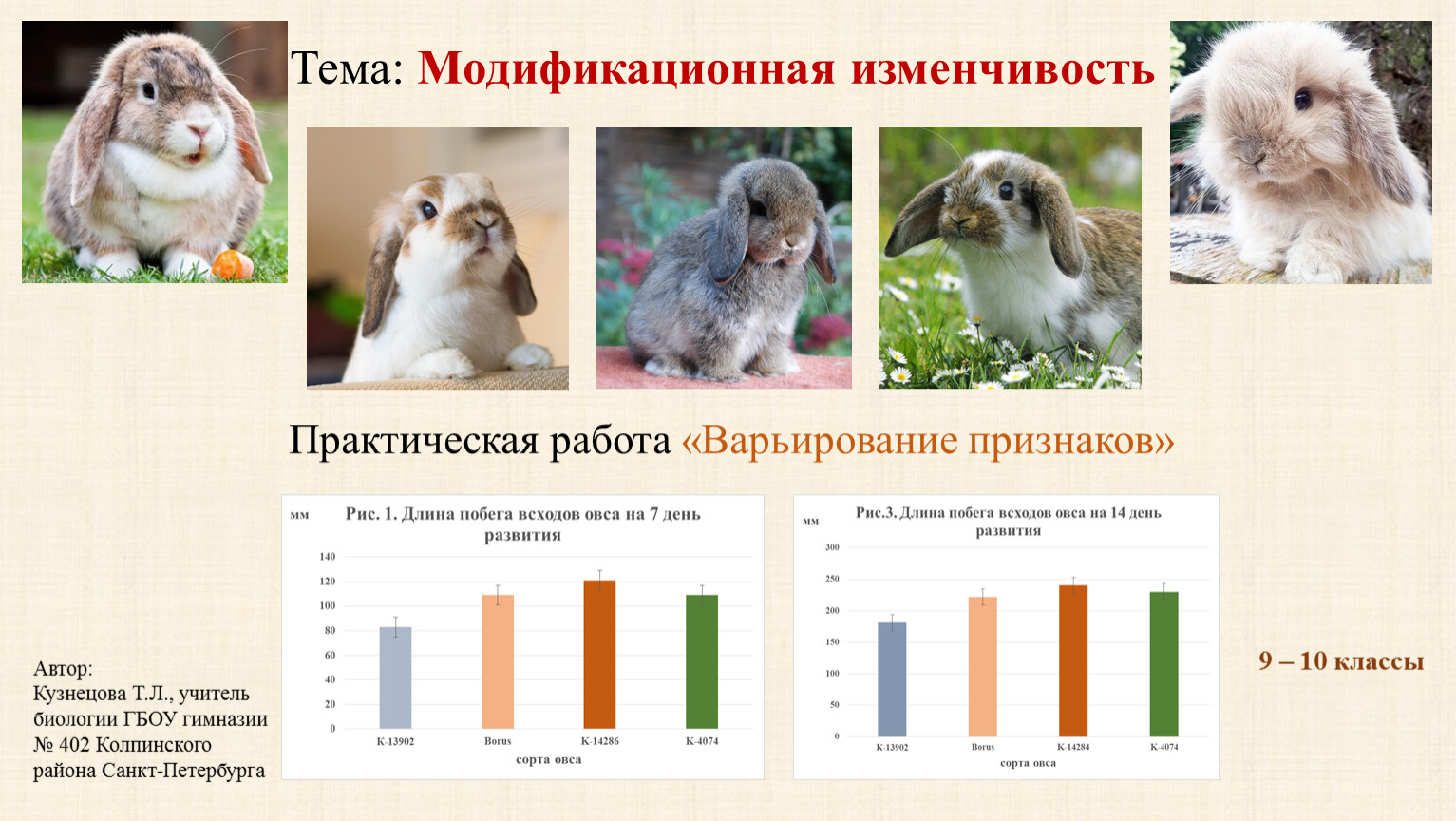 Практическая работа случайная изменчивость. Модификационная изменчивость у собак. Практическая работа по биологии 9 класс модификационная изменчивость. Презентация модификационная изменчивость бездомного щенка.. Изменчивость настроения картинки.