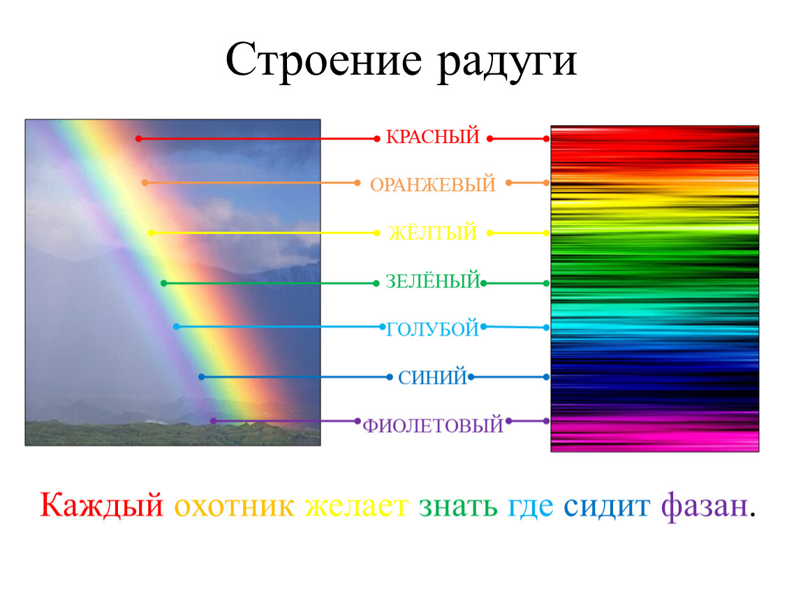 Каких цветов радуга. Строение радуги. Радуга красный оранжевый желтый зеленый голубой синий фиолетовый. Структура радуги. Изучить строение радуги.