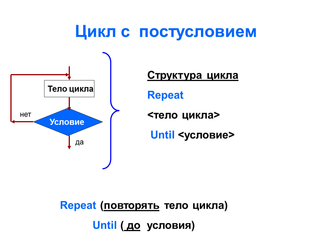 Цикл. Структура цикла с постусловием в Паскале. Структура цикла с постусловием. Структура алгоритма с постусловием. Оператор цикла с постусловием в Pascal.