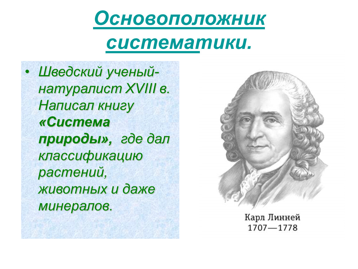 Линней основатель систематики. Основоположником систематики является:. 2 Основоположник систематики.