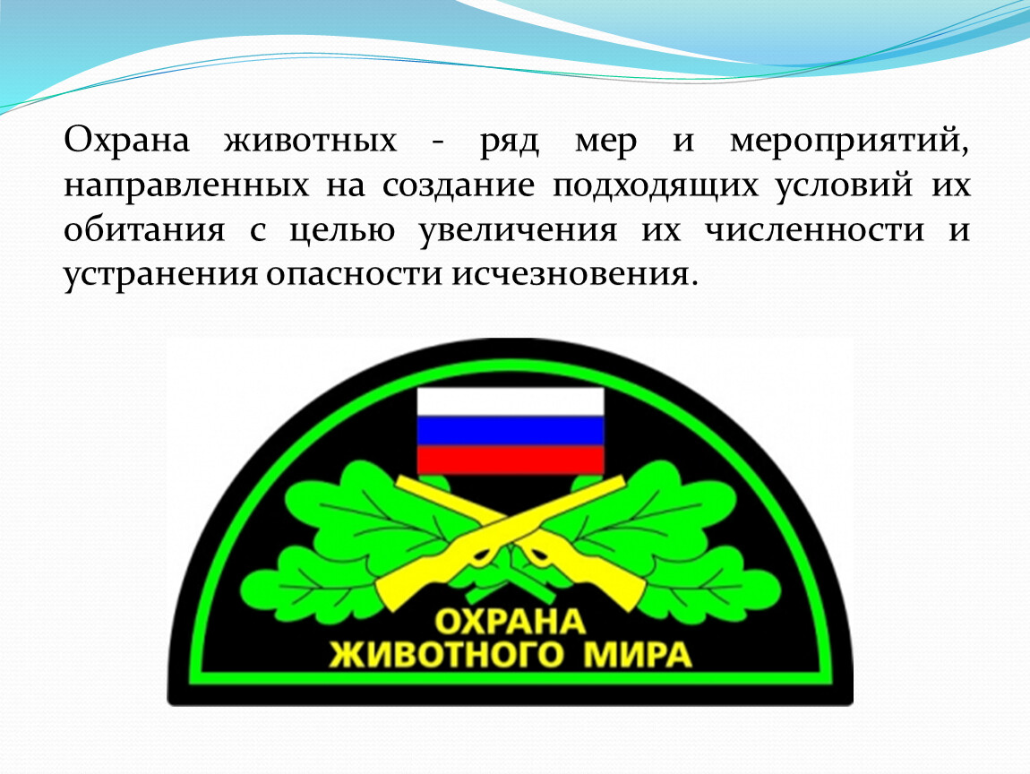 Мир охраны. Охрана животного мира. Охрана животного мира для детей. Охрана животного мира в России. Способы охраны животных.