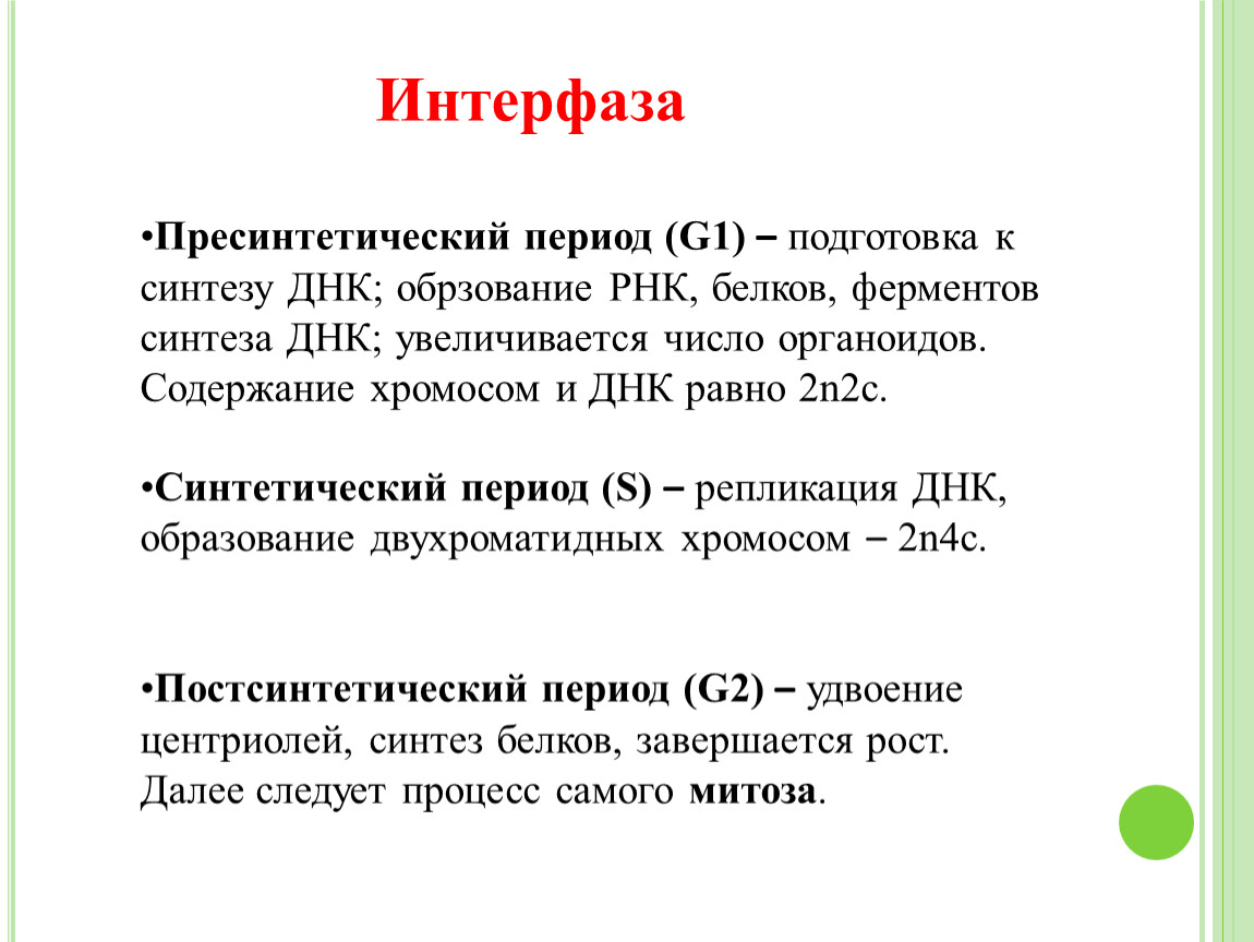 Процессы происходящие в период интерфазы. Интерфаза митоз пресинтетический период. G1 пресинтетический период синтетический s. Пресинтетический период интерфазы g1. Интерфаза 1 описание кратко.