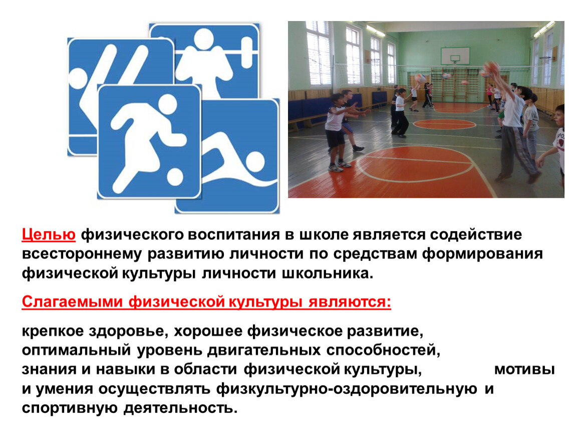 Организация деятельности спортивной школы
