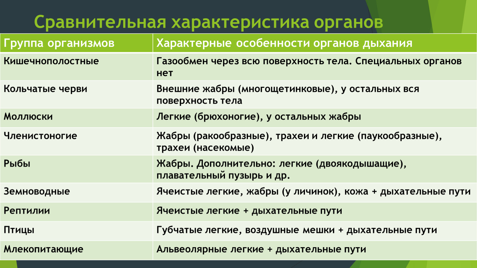 Таблица название органа особенности строения функции дыхание. Сравнительная характеристика органов дыхания. Сравнительная характеристика органов дыхания животных. Характеристика органов дыхания таблица. Сравнительная характеристика органов дыхания таблица.