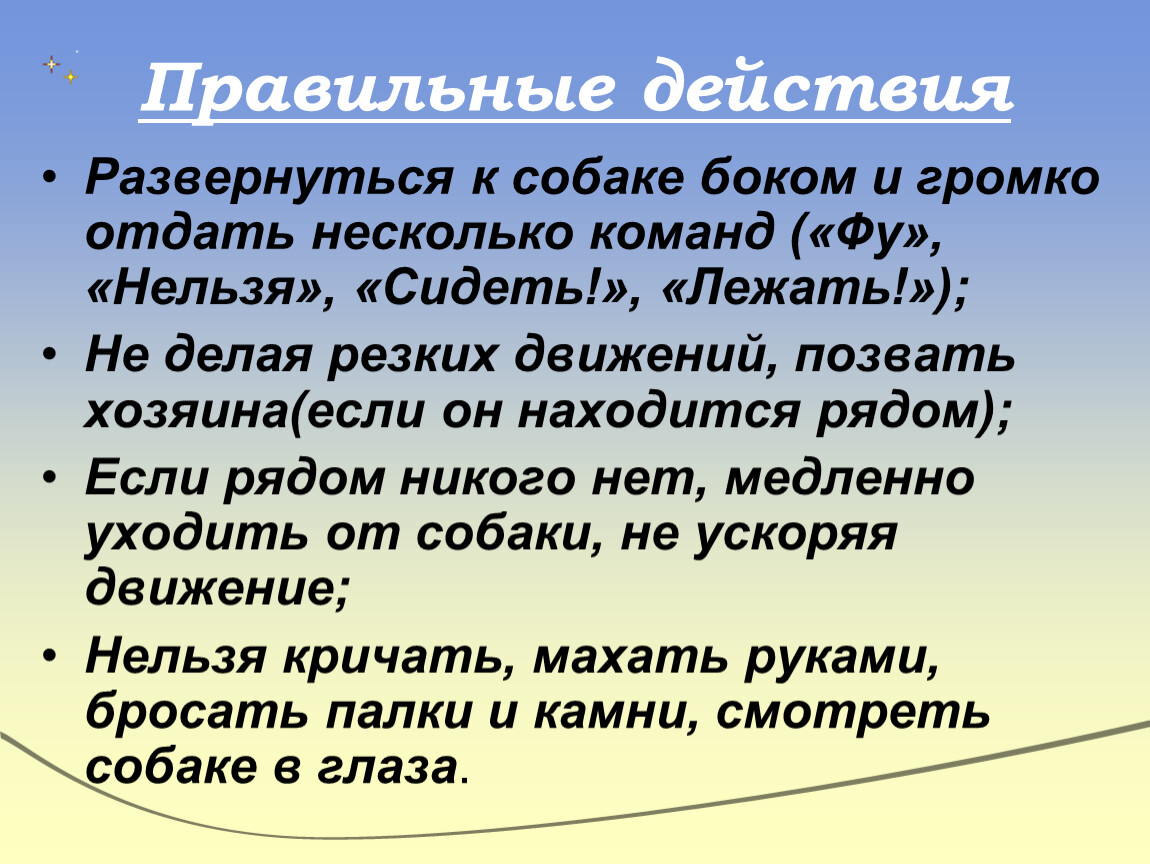 Команда нельзя. Правильные действия. Громко отдать несколько команд («фу», «нельзя», «сидеть». Действия разворачиваются. Как делать правильные действия.