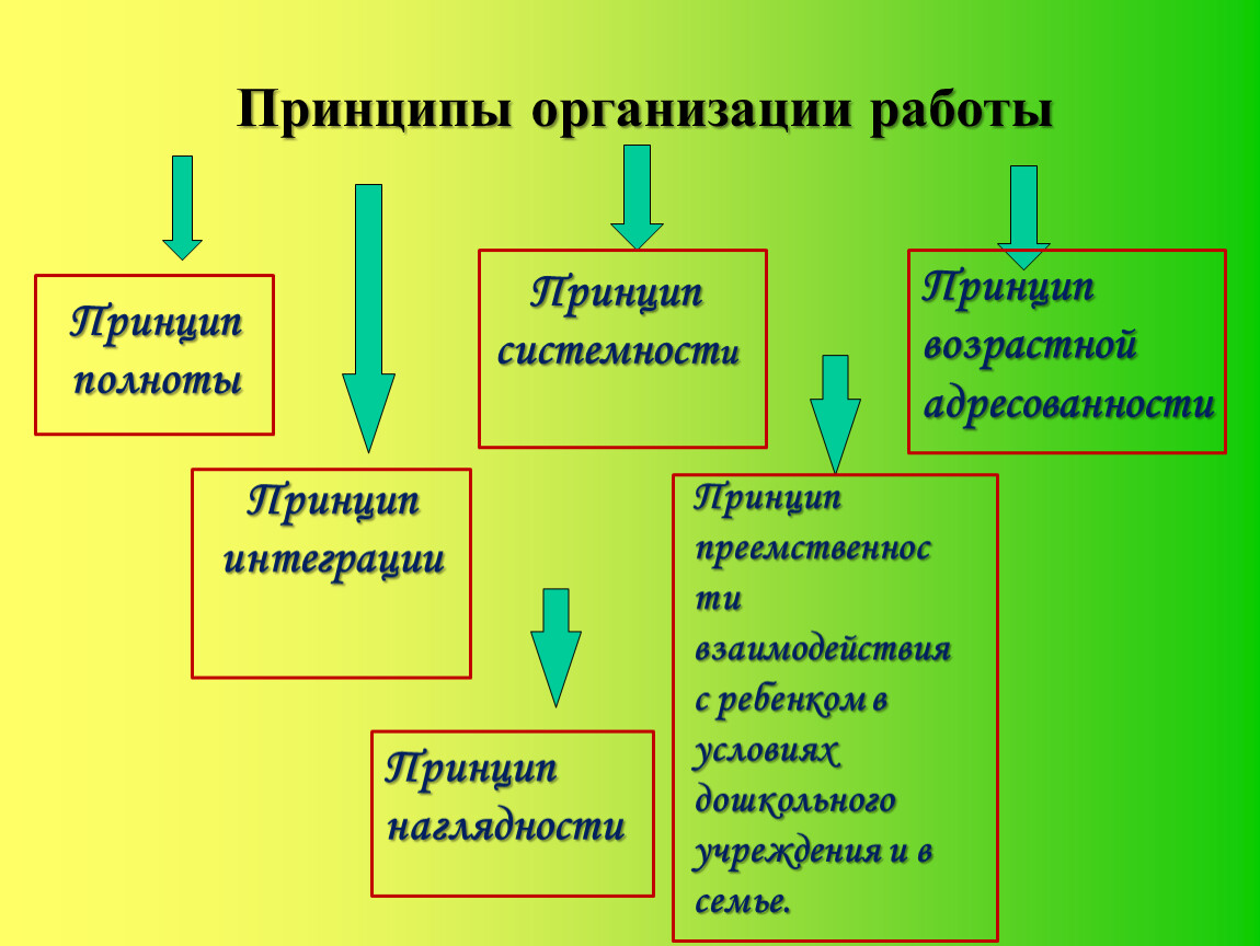 Презентация 