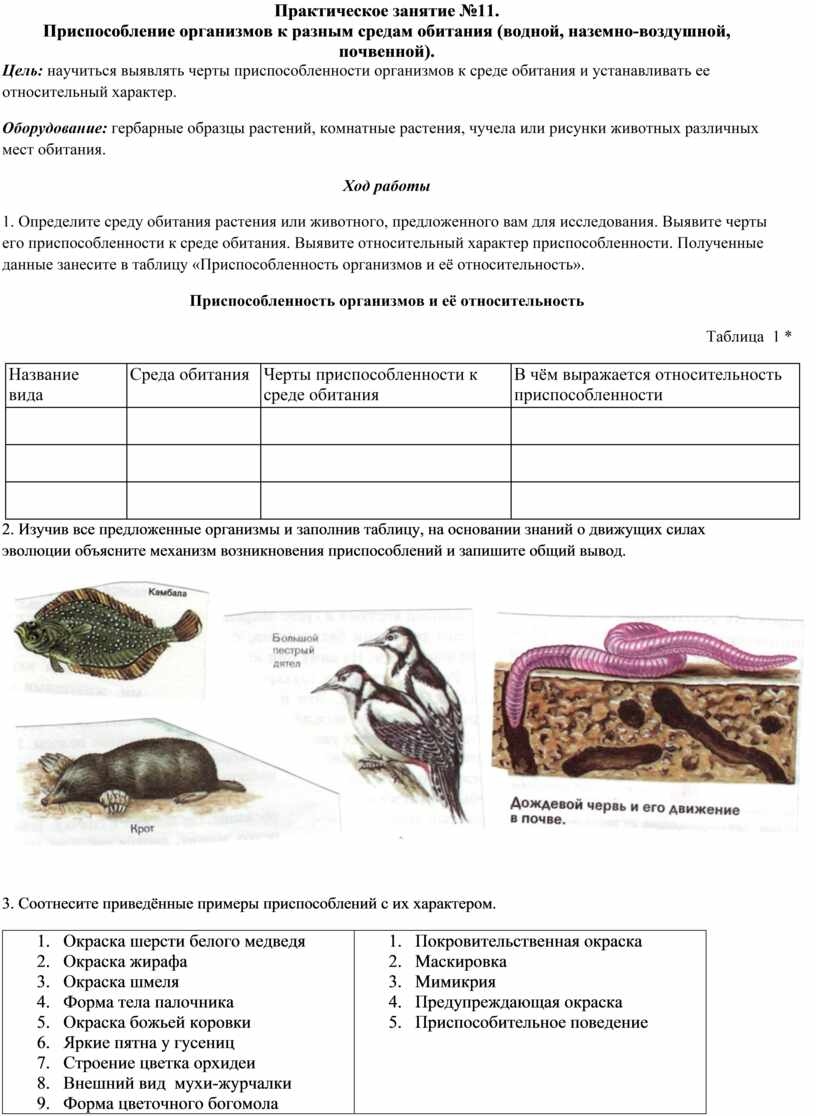 ход работы 1 назовите организмы которые должны быть на пропущенном месте следующих пищевых цепей (99) фото