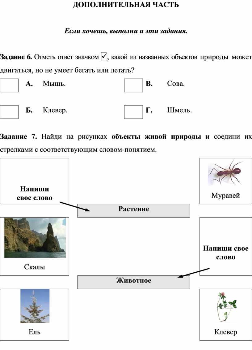 Комплексная работа сова ответы