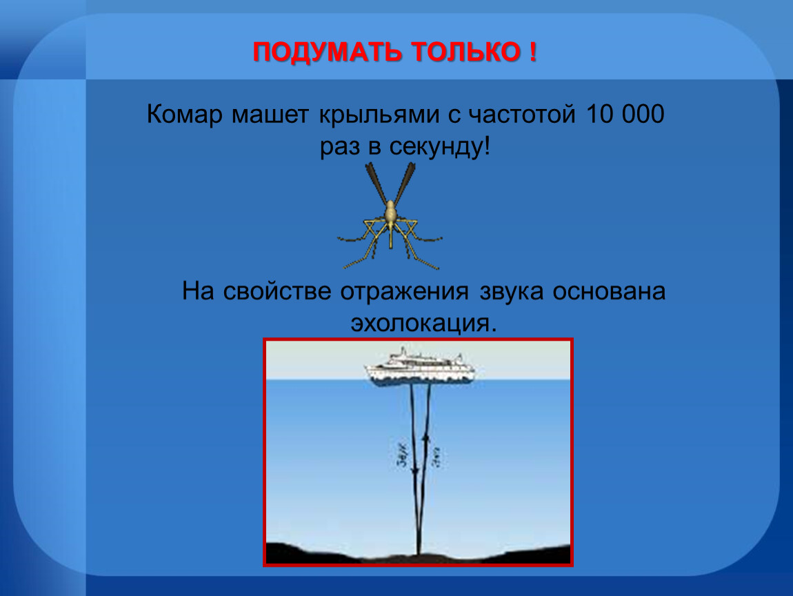 Частота крыльев. Комар машет крыльями с частотой. Комар машет крыльями в секунду. Частота звука комара. Звуковая волна комара.