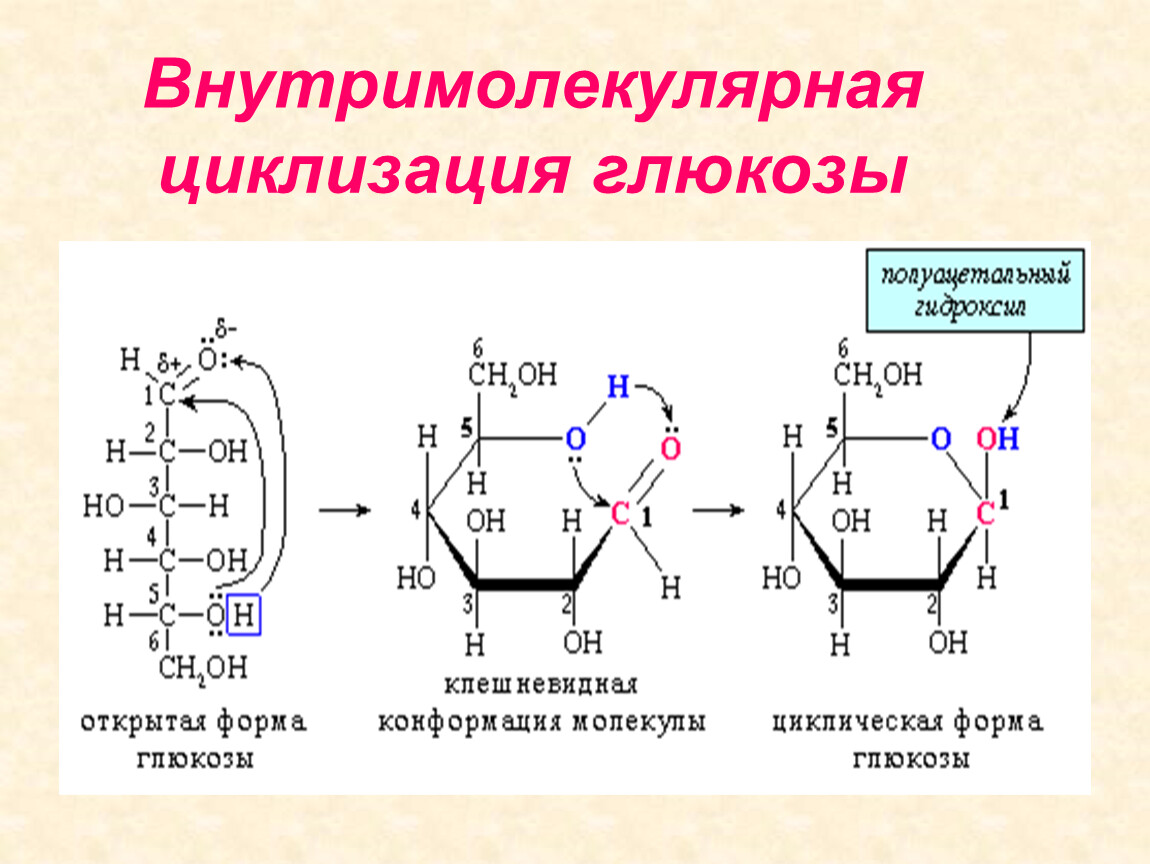 Происходят циклические реакции. Глюкоза внутримолекулярная циклизация. Как происходит циклизация углеводов. Циклизация фруктозы механизм. Механизм циклизации Глюкозы.