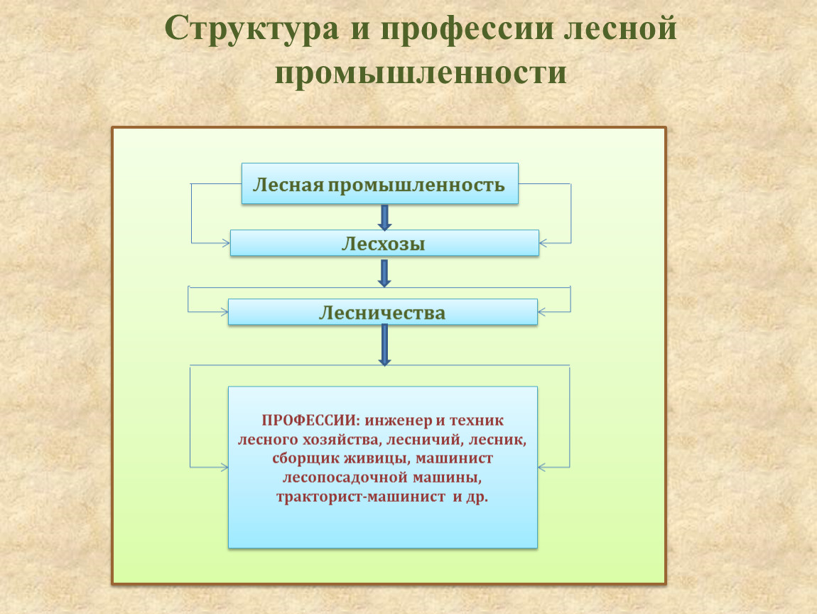 Лесная и деревообрабатывающая промышленность