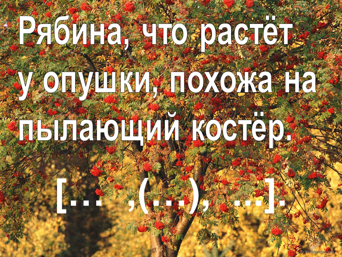 Презентация место придаточного по отношению к главному урок в 9 классе