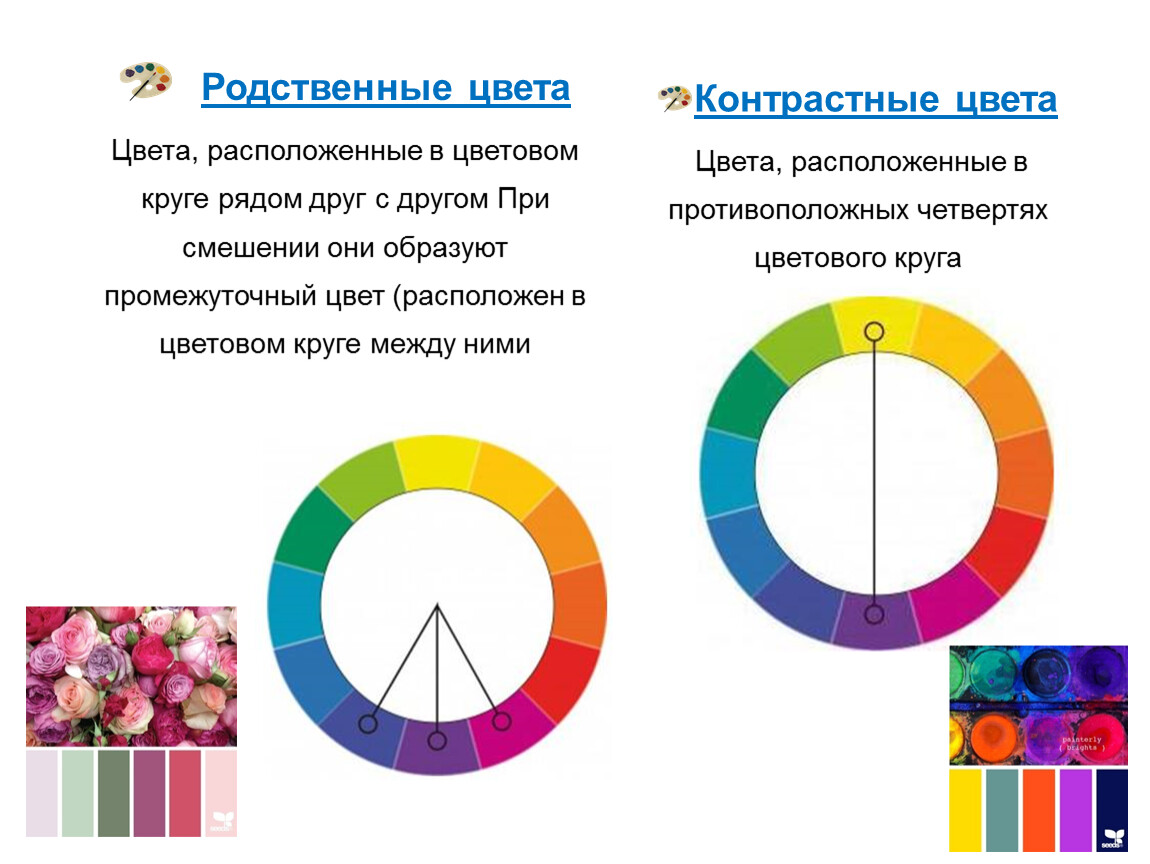 Родственные цвета. Родственно-контрастные цвета в цветовом круге. Родственные цвета в цветовом круге. Родственные ЦВЕТАЦВЕТА. Родственные цвета в цветовом круге находятся.