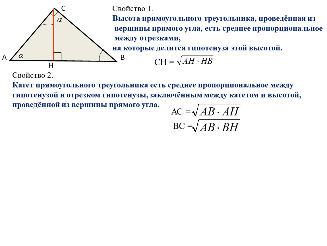 Высота есть среднее пропорциональное между гипотенузой