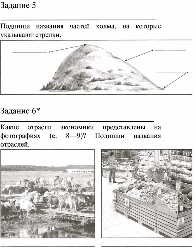 Подпиши название каждой отрасли экономики