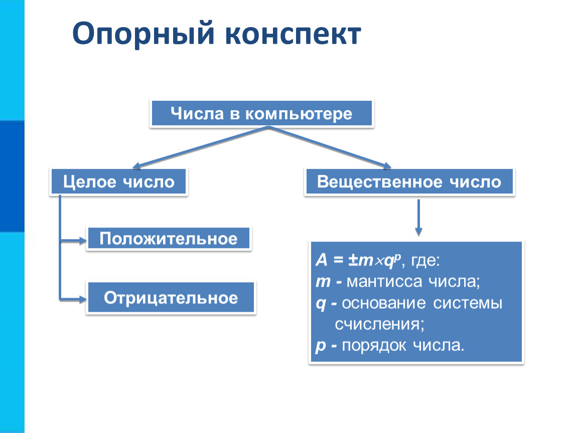 Представление чисел в компьютере презентация 8 класс