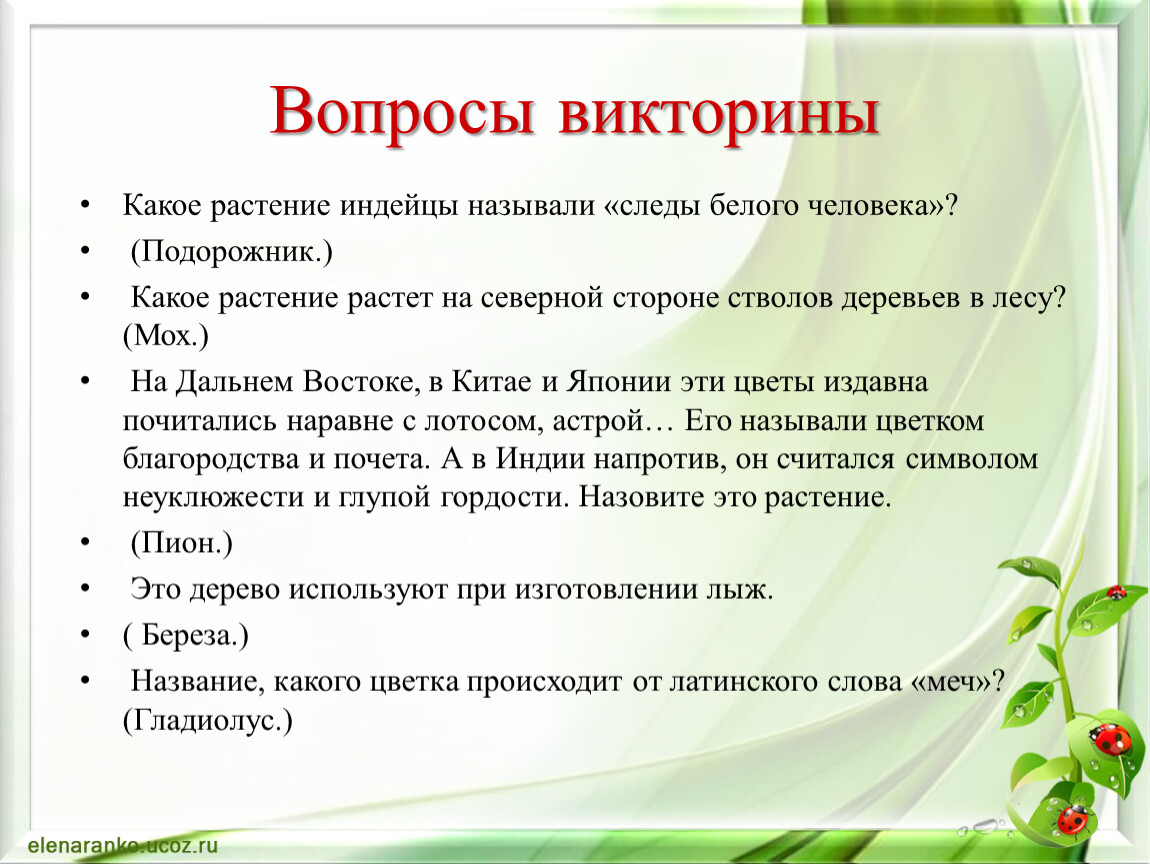 След белого человека растение. Индейцы называют это растение след белого человека. Как индейцы называют подорожник. Какая трава была названа индейцами следом белого человека.