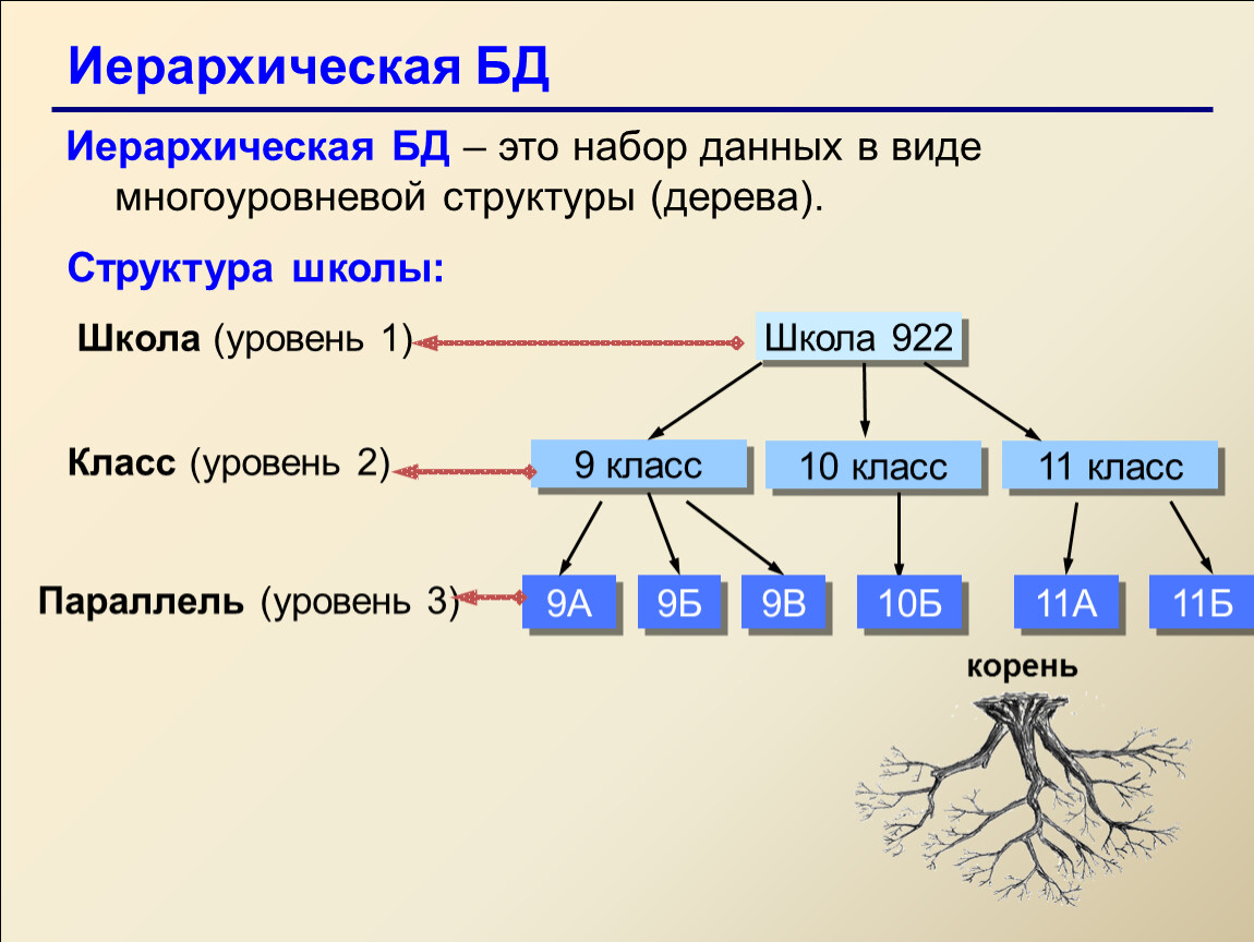 Представленные структуры в виде. Иерархическая структура школы. Иерархическая база данных. Иерархическая структура дерево. Иерархическая структура БД.