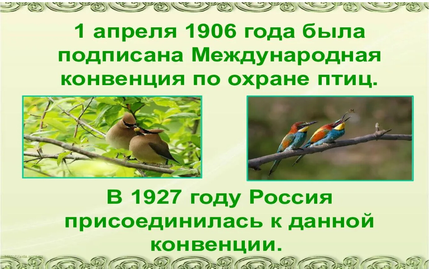 Презентация праздник птиц 1 класс школа россии. 1 Апреля Международный день птиц. День птиц Внеклассное мероприятие 2 класс.