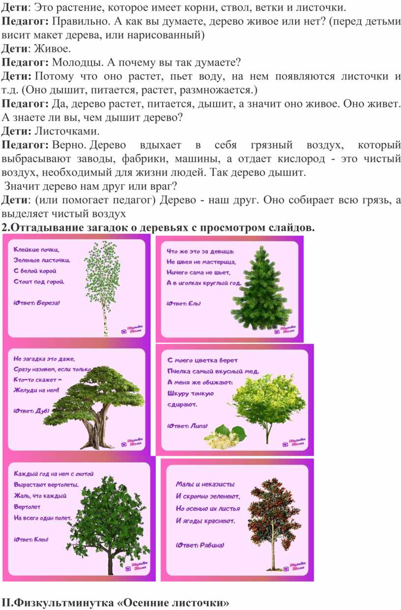 Конспект занятия по развитию речи в средней группе 