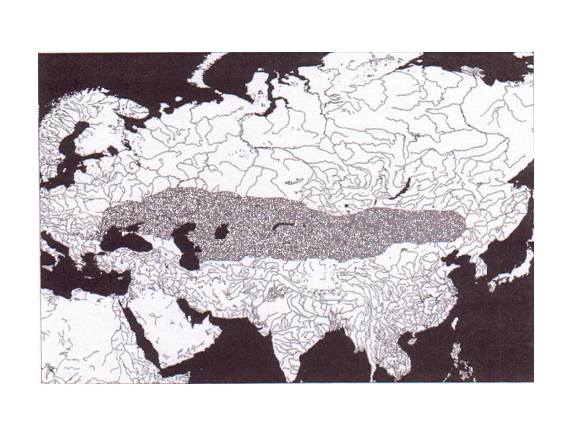 Древнейшие северной евразии. Карта Великой степи Евразии. Великая Евразийская степь. Степной пояс Евразии. Великий пояс евразийских степей.