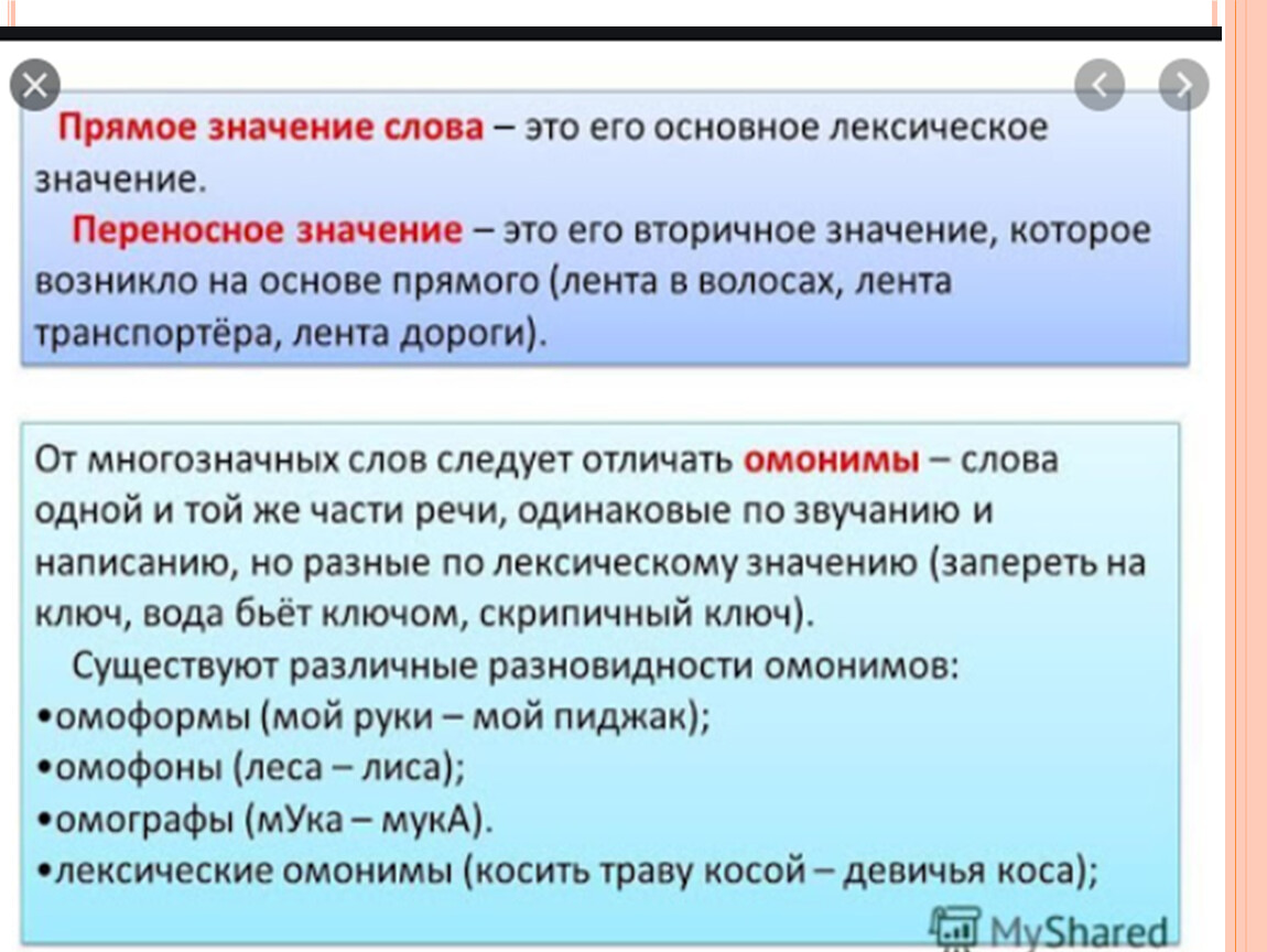 Салат это многозначное слово или нет