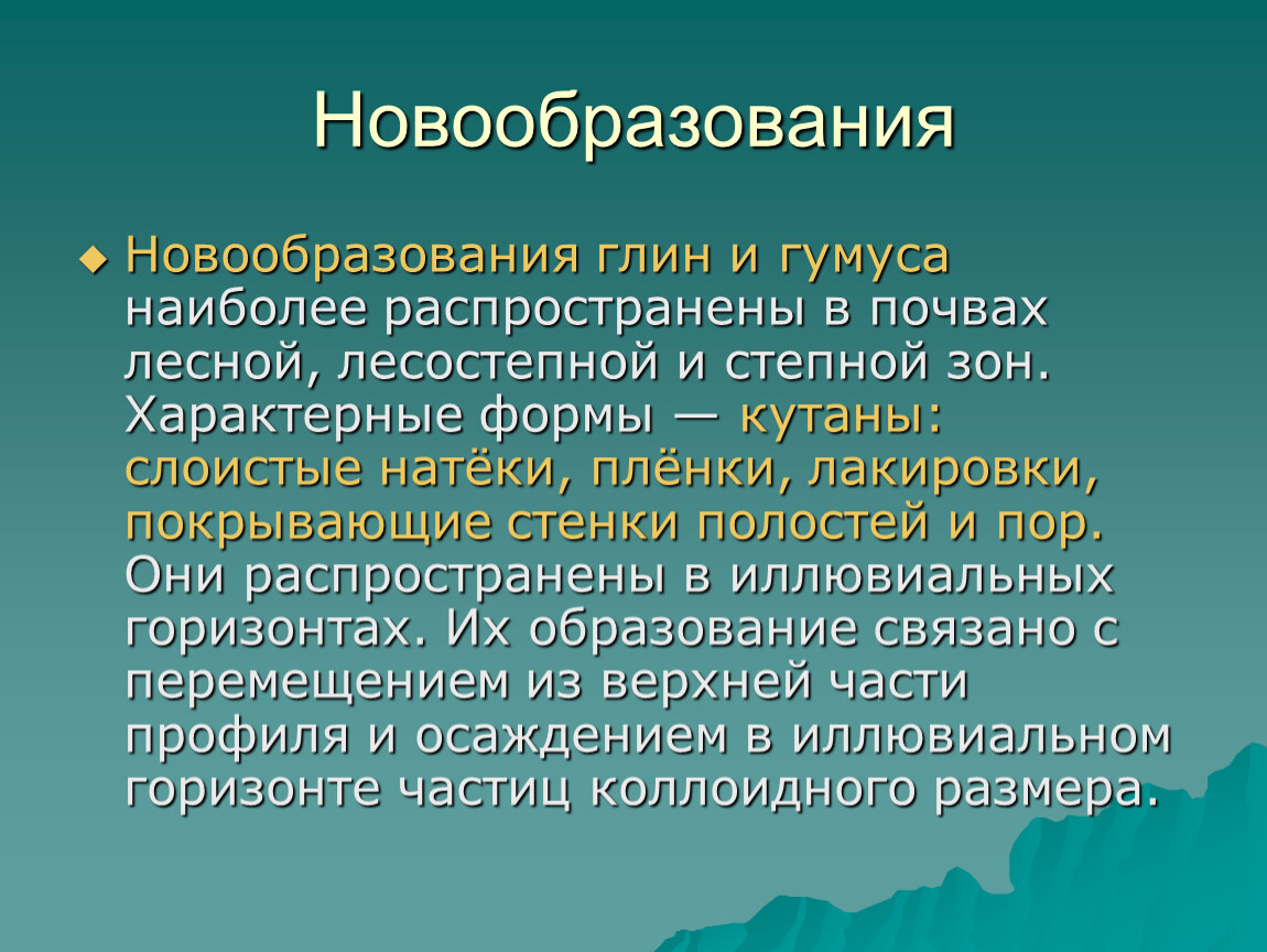 Презентация Строение и морфологические признаки почвы