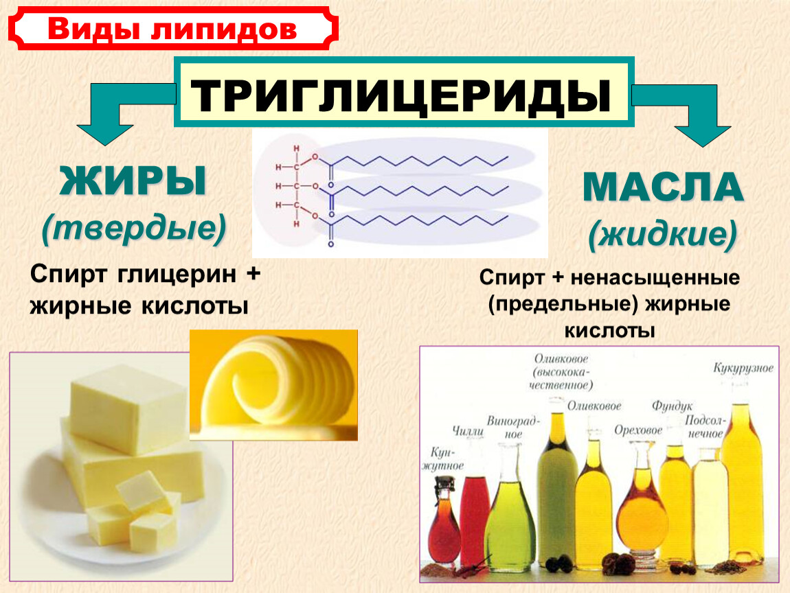 Презентация по химии по теме жиры 9 класс