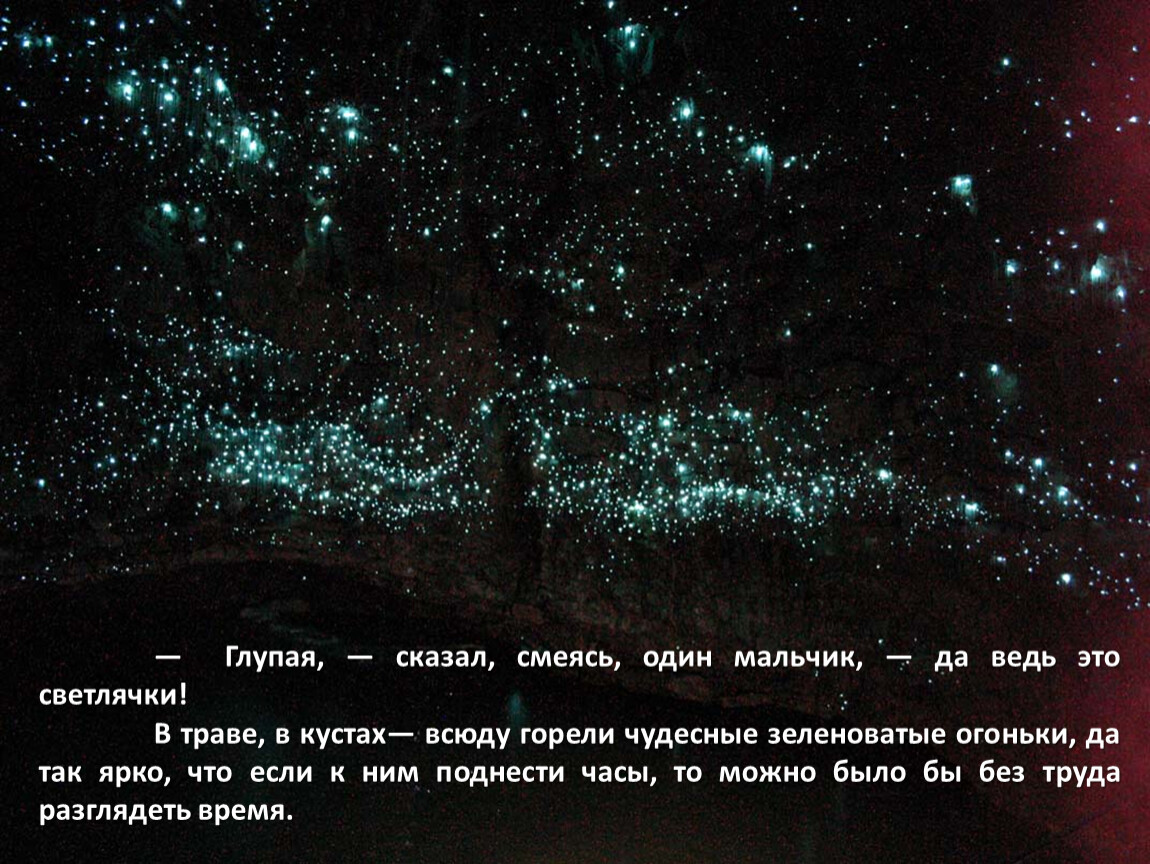 Говорил смеясь. Почему светлячки не спят ночью. Говорил смеясь управление.