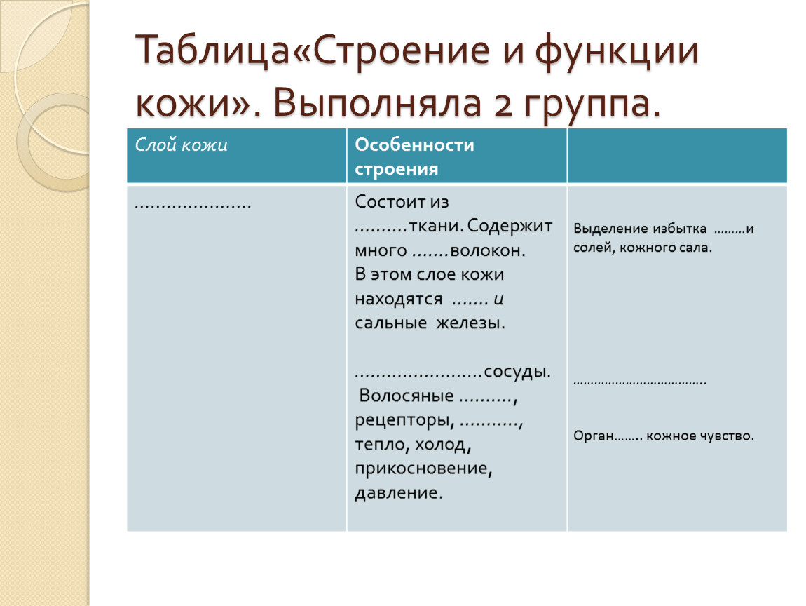 Строение кожи: из чего состоит кожа, функции и свойства кожи, ее основные типы