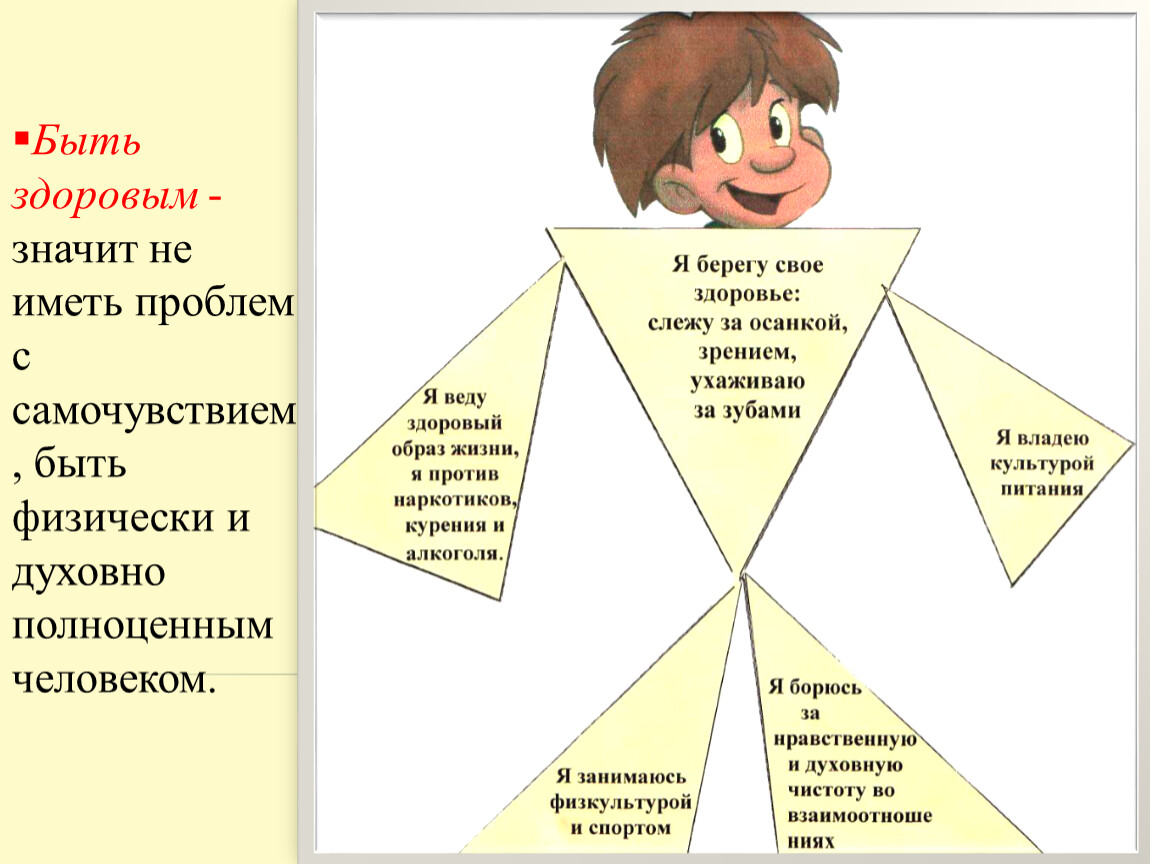 Схема жизни человека